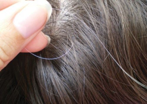 Cách trị tóc bạc sớm ở nữ giới