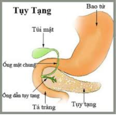 Ung thư tuyến tụy di căn gan