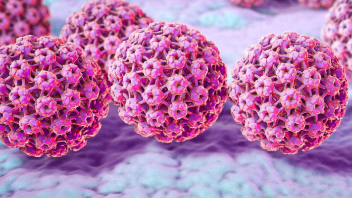 Virus hpv gây ung thư cổ tử cung
